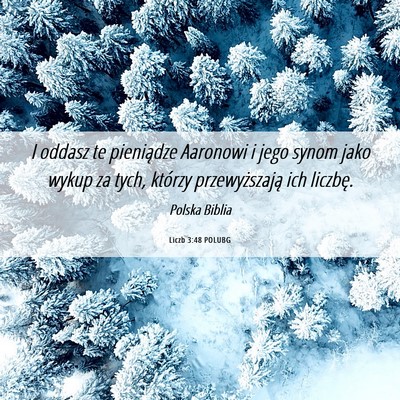 Picture 06 - Liczb 3:48 POLUBG - I oddasz te pieniądze Aaronowi i jego synom jako - Bible Verse Picture