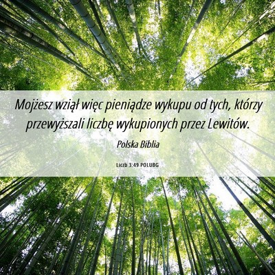 Picture 06 - Liczb 3:49 POLUBG - Mojżesz wziął więc pieniądze wykupu od tych, - Bible Verse Picture