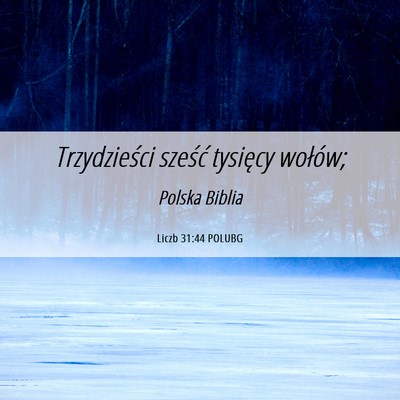 Picture 06 - Liczb 31:44 POLUBG - Trzydzieści sześć tysięcy - Bible Verse Picture