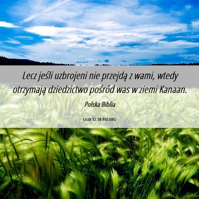Picture 06 - Liczb 32:30 POLUBG - Lecz jeśli uzbrojeni nie przejdą z wami, wtedy - Bible Verse Picture