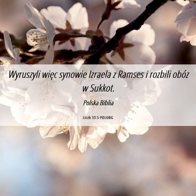Picture 06 - Liczb 33:5 POLUBG - Wyruszyli więc synowie Izraela z Ramses i - Bible Verse Picture