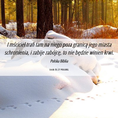 Picture 06 - Liczb 35:27 POLUBG - I mściciel trafi tam na niego poza granicą jego - Bible Verse Picture