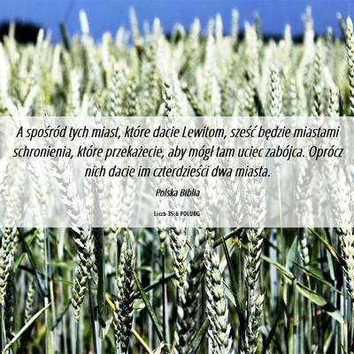 Picture 06 - Liczb 35:6 POLUBG - A spośród tych miast, które dacie Lewitom, - Bible Verse Picture