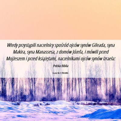 Picture 06 - Liczb 36:1 POLUBG - Wtedy przystąpili naczelnicy spośród ojców - Bible Verse Picture