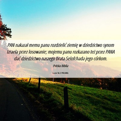 Picture 06 - Liczb 36:2 POLUBG - PAN nakazał memu panu rozdzielić ziemię w - Bible Verse Picture