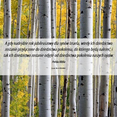 Picture 06 - Liczb 36:4 POLUBG - A gdy nadejdzie rok jubileuszowy dla synów - Bible Verse Picture