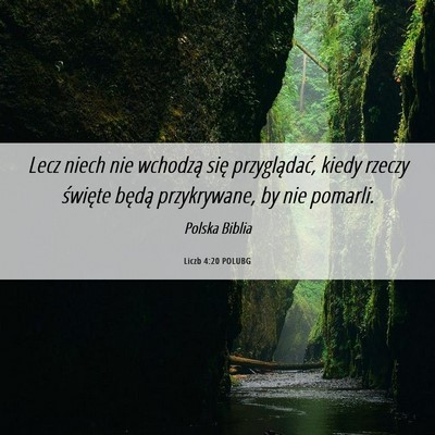 Picture 06 - Liczb 4:20 POLUBG - Lecz niech nie wchodzą się przyglądać, kiedy - Bible Verse Picture
