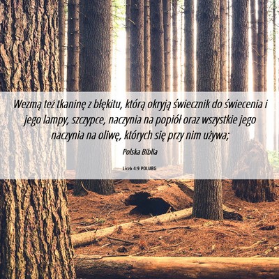 Picture 06 - Liczb 4:9 POLUBG - Wezmą też tkaninę z błękitu, którą okryją - Bible Verse Picture