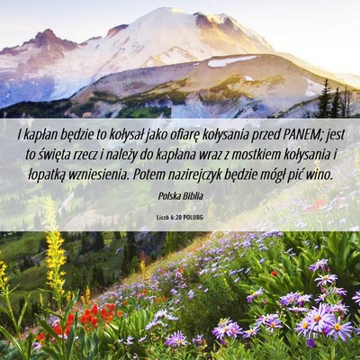 Picture 06 - Liczb 6:20 POLUBG - I kapłan będzie to kołysał jako ofiarę - Bible Verse Picture