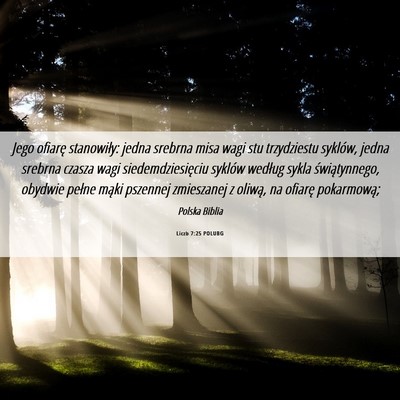 Picture 06 - Liczb 7:25 POLUBG - Jego ofiarę stanowiły: jedna srebrna misa wagi - Bible Verse Picture