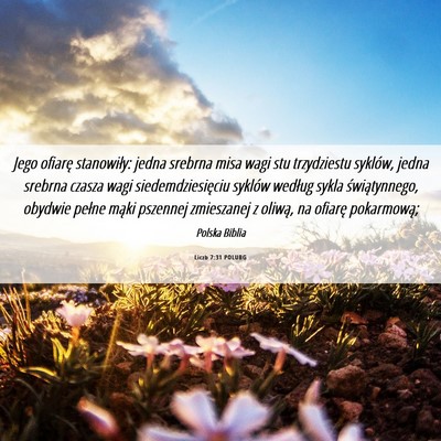 Picture 06 - Liczb 7:31 POLUBG - Jego ofiarę stanowiły: jedna srebrna misa wagi - Bible Verse Picture