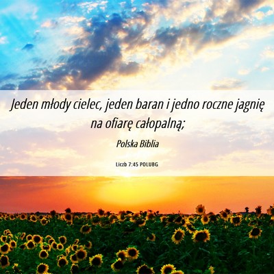 Picture 06 - Liczb 7:45 POLUBG - Jeden młody cielec, jeden baran i jedno roczne - Bible Verse Picture
