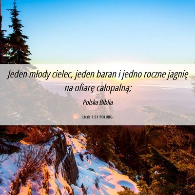 Picture 06 - Liczb 7:51 POLUBG - Jeden młody cielec, jeden baran i jedno roczne - Bible Verse Picture