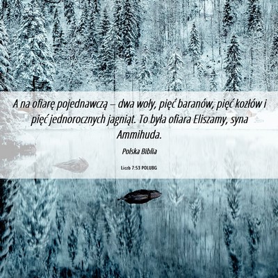 Picture 06 - Liczb 7:53 POLUBG - A na ofiarę pojednawczą – dwa woły, pięć - Bible Verse Picture