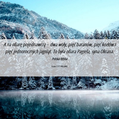 Picture 06 - Liczb 7:77 POLUBG - A na ofiarę pojednawczą – dwa woły, pięć - Bible Verse Picture