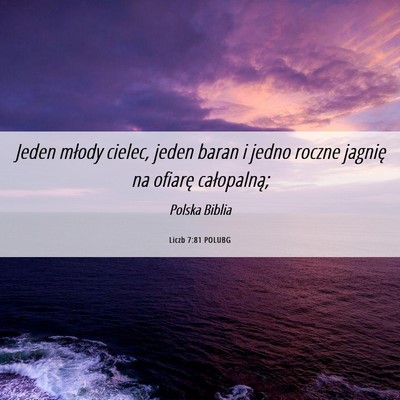 Picture 06 - Liczb 7:81 POLUBG - Jeden młody cielec, jeden baran i jedno roczne - Bible Verse Picture