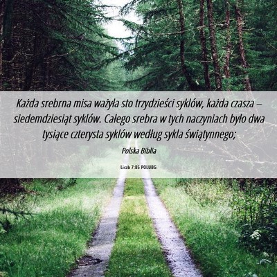 Picture 06 - Liczb 7:85 POLUBG - Każda srebrna misa ważyła sto trzydzieści - Bible Verse Picture