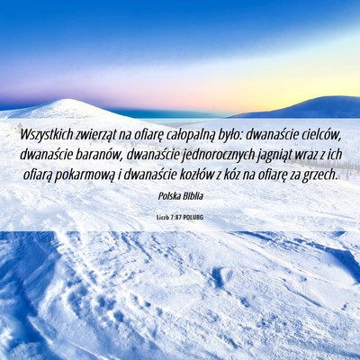 Picture 06 - Liczb 7:87 POLUBG - Wszystkich zwierząt na ofiarę całopalną - Bible Verse Picture