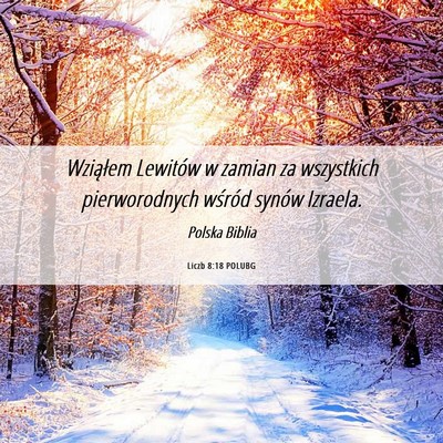 Picture 06 - Liczb 8:18 POLUBG - Wziąłem Lewitów w zamian za wszystkich - Bible Verse Picture