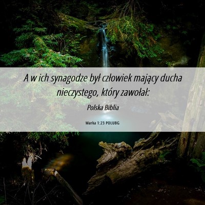 Picture 06 - Marka 1:23 POLUBG - A w ich synagodze był człowiek mający ducha - Bible Verse Picture