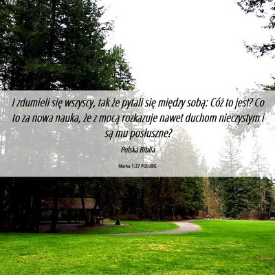Picture 06 - Marka 1:27 POLUBG - I zdumieli się wszyscy, tak że pytali się - Bible Verse Picture