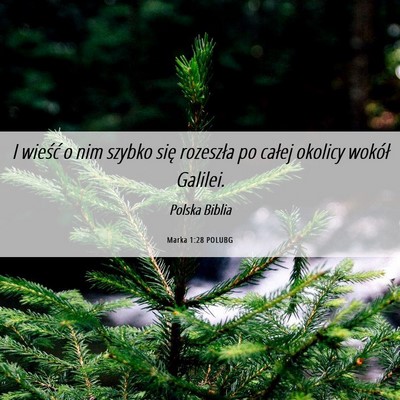 Picture 06 - Marka 1:28 POLUBG - I wieść o nim szybko się rozeszła po całej - Bible Verse Picture