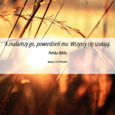 Picture 06 - Marka 1:37 POLUBG - A znalazłszy go, powiedzieli mu: Wszyscy cię - Bible Verse Picture