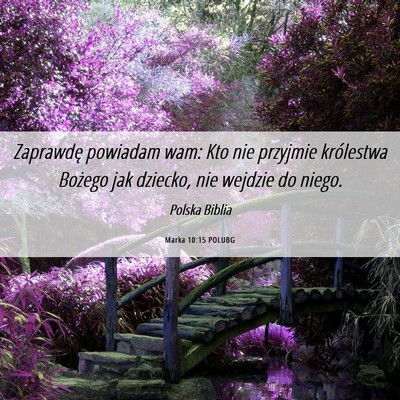 Picture 06 - Marka 10:15 POLUBG - Zaprawdę powiadam wam: Kto nie przyjmie - Bible Verse Picture