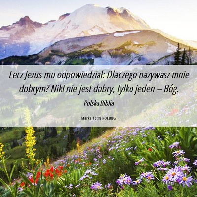 Picture 06 - Marka 10:18 POLUBG - Lecz Jezus mu odpowiedział: Dlaczego nazywasz - Bible Verse Picture