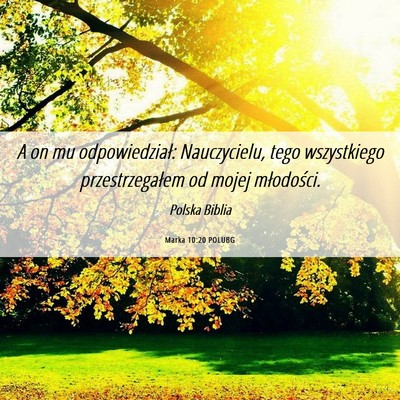 Picture 06 - Marka 10:20 POLUBG - A on mu odpowiedział: Nauczycielu, tego - Bible Verse Picture