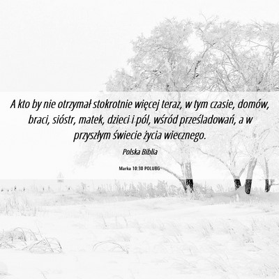 Picture 06 - Marka 10:30 POLUBG - A kto by nie otrzymał stokrotnie więcej teraz, - Bible Verse Picture
