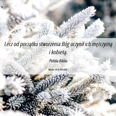 Picture 06 - Marka 10:6 POLUBG - Lecz od początku stworzenia Bóg uczynił ich - Bible Verse Picture