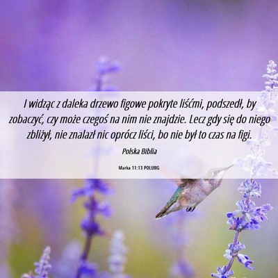 Picture 06 - Marka 11:13 POLUBG - I widząc z daleka drzewo figowe pokryte - Bible Verse Picture