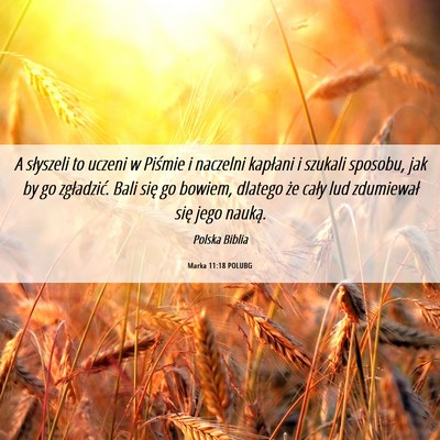 Picture 06 - Marka 11:18 POLUBG - A słyszeli to uczeni w Piśmie i naczelni - Bible Verse Picture