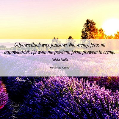 Picture 06 - Marka 11:33 POLUBG - Odpowiedzieli więc Jezusowi: Nie wiemy. Jezus im - Bible Verse Picture