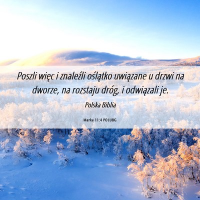 Picture 06 - Marka 11:4 POLUBG - Poszli więc i znaleźli oślątko uwiązane u - Bible Verse Picture