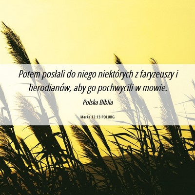 Picture 06 - Marka 12:13 POLUBG - Potem posłali do niego niektórych z faryzeuszy - Bible Verse Picture