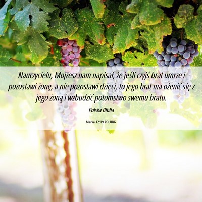Picture 06 - Marka 12:19 POLUBG - Nauczycielu, Mojżesz nam napisał, że jeśli - Bible Verse Picture