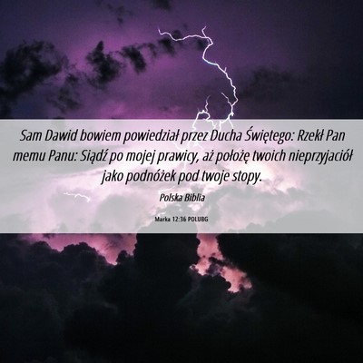 Picture 06 - Marka 12:36 POLUBG - Sam Dawid bowiem powiedział przez Ducha - Bible Verse Picture