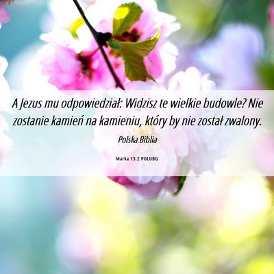 Picture 06 - Marka 13:2 POLUBG - A Jezus mu odpowiedział: Widzisz te wielkie - Bible Verse Picture