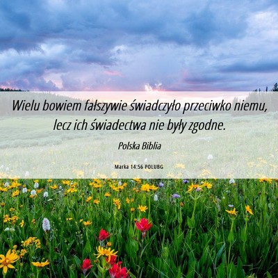 Picture 06 - Marka 14:56 POLUBG - Wielu bowiem fałszywie świadczyło przeciwko - Bible Verse Picture