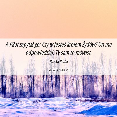 Picture 06 - Marka 15:2 POLUBG - A Piłat zapytał go: Czy ty jesteś królem - Bible Verse Picture