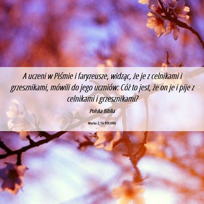 Picture 06 - Marka 2:16 POLUBG - A uczeni w Piśmie i faryzeusze, widząc, że je - Bible Verse Picture