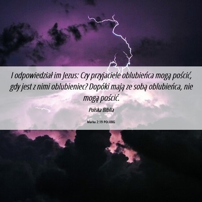 Picture 06 - Marka 2:19 POLUBG - I odpowiedział im Jezus: Czy przyjaciele - Bible Verse Picture