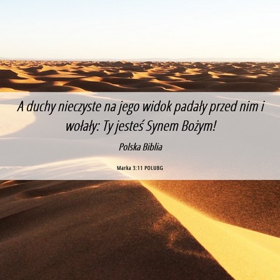Picture 06 - Marka 3:11 POLUBG - A duchy nieczyste na jego widok padały przed nim - Bible Verse Picture