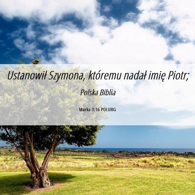 Picture 06 - Marka 3:16 POLUBG - Ustanowił Szymona, któremu nadał imię - Bible Verse Picture