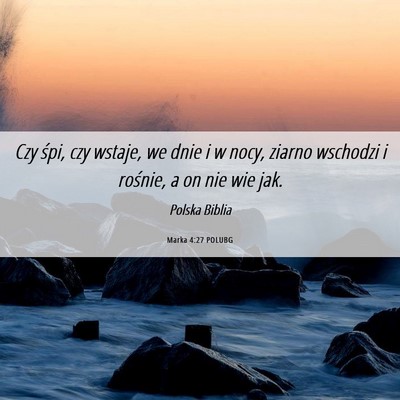 Picture 06 - Marka 4:27 POLUBG - Czy śpi, czy wstaje, we dnie i w nocy, ziarno - Bible Verse Picture