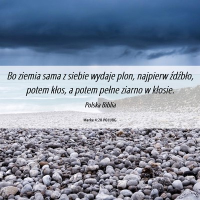 Picture 06 - Marka 4:28 POLUBG - Bo ziemia sama z siebie wydaje plon, najpierw - Bible Verse Picture