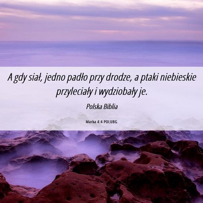 Picture 06 - Marka 4:4 POLUBG - A gdy siał, jedno padło przy drodze, a ptaki - Bible Verse Picture
