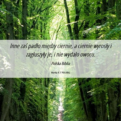 Picture 06 - Marka 4:7 POLUBG - Inne zaś padło między ciernie, a ciernie - Bible Verse Picture